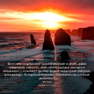 Picture 03 - எரேமியா 49:9 TAMIRV -  - Bible Verse Picture