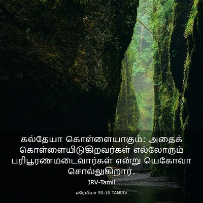 Picture 03 - எரேமியா 50:10 TAMIRV - கல்தேயா - Bible Verse Picture