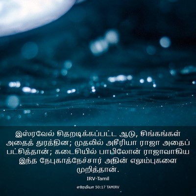 Picture 03 - எரேமியா 50:17 TAMIRV - இஸ்ரவேல் - Bible Verse Picture
