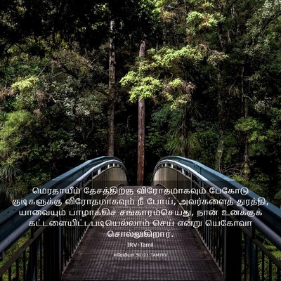 Picture 03 - எரேமியா 50:21 TAMIRV - மெரதாயீம் - Bible Verse Picture