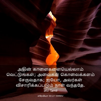 Picture 03 - எரேமியா 50:27 TAMIRV - அதின் - Bible Verse Picture