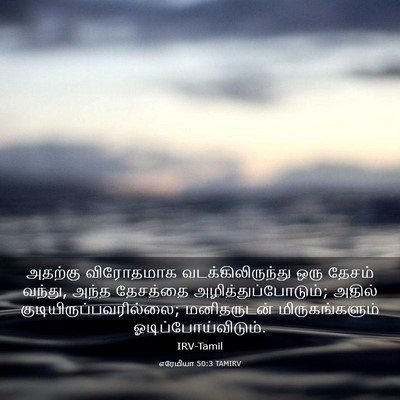 Picture 03 - எரேமியா 50:3 TAMIRV - அதற்கு விரோதமாக - Bible Verse Picture