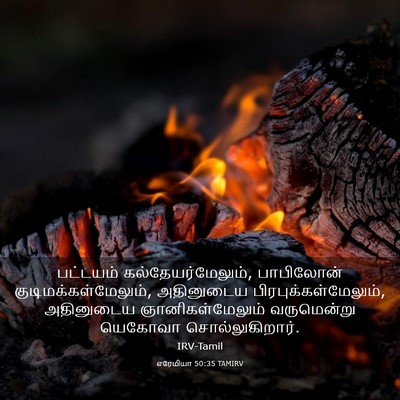Picture 03 - எரேமியா 50:35 TAMIRV - பட்டயம் - Bible Verse Picture
