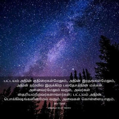Picture 03 - எரேமியா 50:37 TAMIRV - பட்டயம் அதின் - Bible Verse Picture