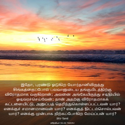 Picture 03 - எரேமியா 50:44 TAMIRV - இதோ, புரண்டு - Bible Verse Picture
