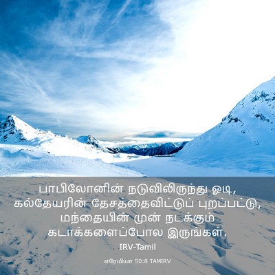 Picture 03 - எரேமியா 50:8 TAMIRV - பாபிலோனின் - Bible Verse Picture