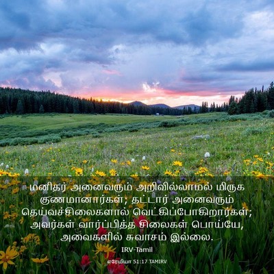 Picture 03 - எரேமியா 51:17 TAMIRV - மனிதர் அனைவரும் - Bible Verse Picture