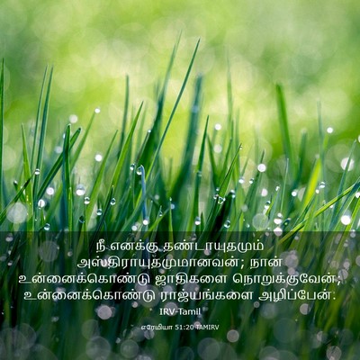 Picture 03 - எரேமியா 51:20 TAMIRV - நீ எனக்கு - Bible Verse Picture
