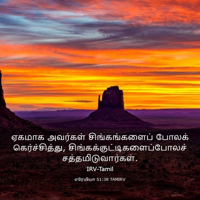 Picture 03 - எரேமியா 51:38 TAMIRV - ஏகமாக அவர்கள் - Bible Verse Picture