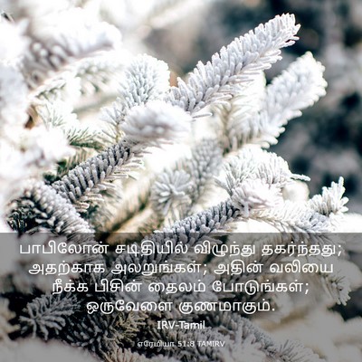 Picture 03 - எரேமியா 51:8 TAMIRV - பாபிலோன் - Bible Verse Picture