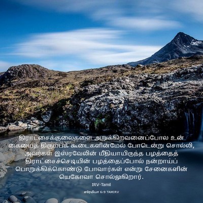 Picture 03 - எரேமியா 6:9 TAMIRV -  - Bible Verse Picture