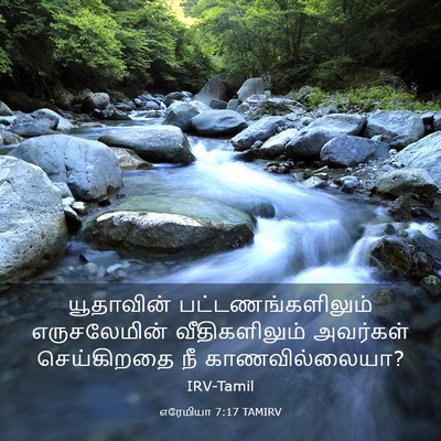 Picture 03 - எரேமியா 7:17 TAMIRV - யூதாவின் - Bible Verse Picture