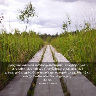 Picture 03 - எரேமியா 7:19 TAMIRV - அவர்கள் எனக்கா - Bible Verse Picture