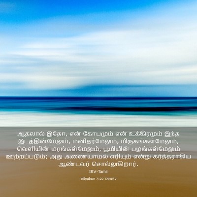 Picture 03 - எரேமியா 7:20 TAMIRV - ஆதலால் இதோ, என் - Bible Verse Picture
