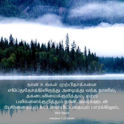 Picture 03 - எரேமியா 7:22 TAMIRV - நான் உங்கள் - Bible Verse Picture