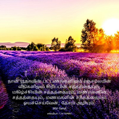 Picture 03 - எரேமியா 7:34 TAMIRV - நான் யூதாவின் - Bible Verse Picture