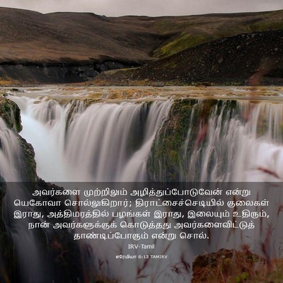 Picture 03 - எரேமியா 8:13 TAMIRV - அவர்களை - Bible Verse Picture