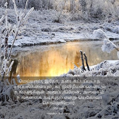 Picture 03 - எரேமியா 8:17 TAMIRV - மெய்யாய், இதோ, - Bible Verse Picture