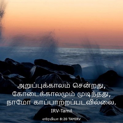 Picture 03 - எரேமியா 8:20 TAMIRV - அறுப்புக்காலம் - Bible Verse Picture