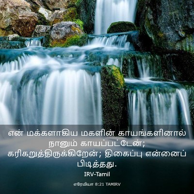 Picture 03 - எரேமியா 8:21 TAMIRV - என் மக்களாகிய - Bible Verse Picture