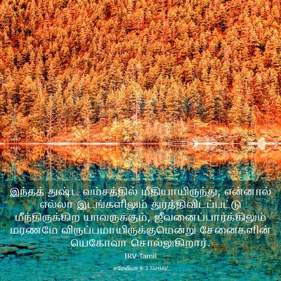 Picture 03 - எரேமியா 8:3 TAMIRV - இந்தத் துஷ்ட - Bible Verse Picture