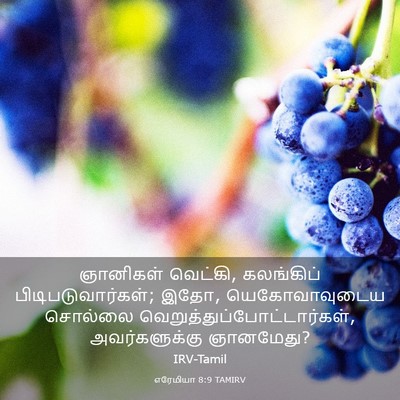 Picture 03 - எரேமியா 8:9 TAMIRV - ஞானிகள் வெட்கி, - Bible Verse Picture