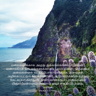 Picture 03 - எரேமியா 9:10 TAMIRV - மலைகளுக்காக அழுது - Bible Verse Picture