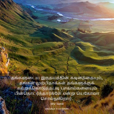 Picture 03 - எரேமியா 9:14 TAMIRV - தங்களுடைய - Bible Verse Picture
