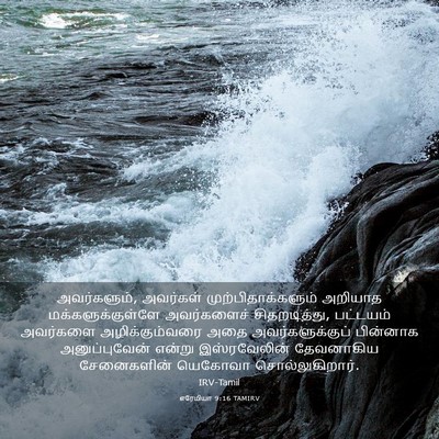 Picture 03 - எரேமியா 9:16 TAMIRV - அவர்களும், - Bible Verse Picture