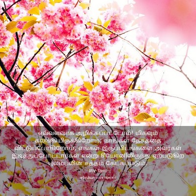 Picture 03 - எரேமியா 9:19 TAMIRV - எவ்வளவாக - Bible Verse Picture