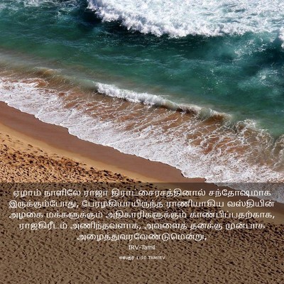 Picture 03 - எஸ்தர் 1:10 TAMIRV - ஏழாம் நாளிலே ராஜா - Bible Verse Picture