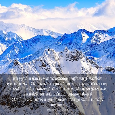 Picture 03 - எஸ்தர் 1:15 TAMIRV - ராஜாவாகிய - Bible Verse Picture
