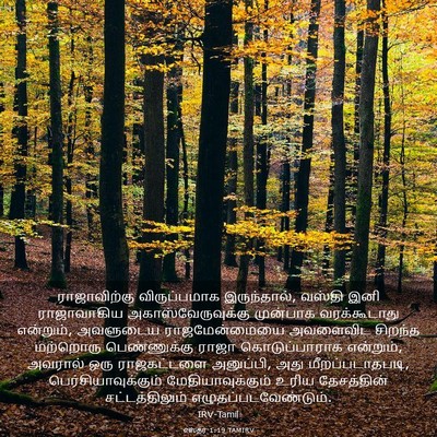 Picture 03 - எஸ்தர் 1:19 TAMIRV - ராஜாவிற்கு - Bible Verse Picture