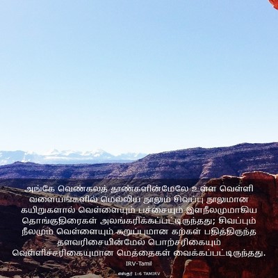 Picture 03 - எஸ்தர் 1:6 TAMIRV - அங்கே வெண்கலத் - Bible Verse Picture