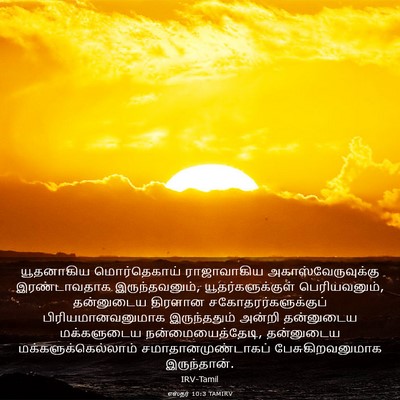 Picture 03 - எஸ்தர் 10:3 TAMIRV - யூதனாகிய - Bible Verse Picture