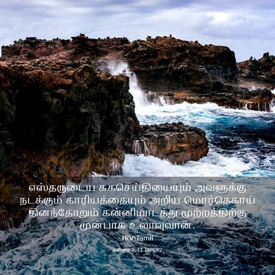 Picture 03 - எஸ்தர் 2:11 TAMIRV - எஸ்தருடைய - Bible Verse Picture