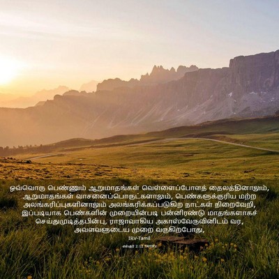 Picture 03 - எஸ்தர் 2:12 TAMIRV - ஒவ்வொரு பெண்ணும் - Bible Verse Picture