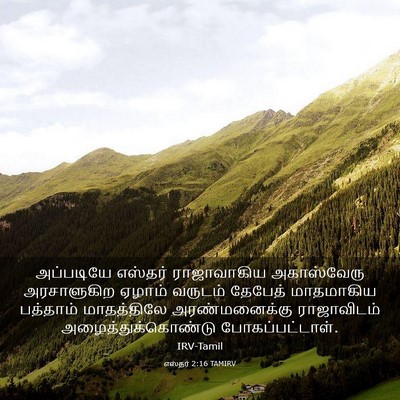 Picture 03 - எஸ்தர் 2:16 TAMIRV - அப்படியே எஸ்தர் - Bible Verse Picture