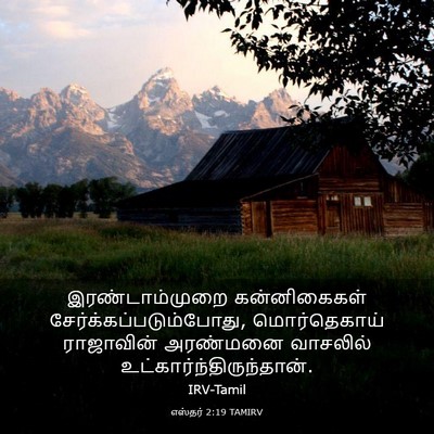 Picture 03 - எஸ்தர் 2:19 TAMIRV - இரண்டாம்முறை - Bible Verse Picture