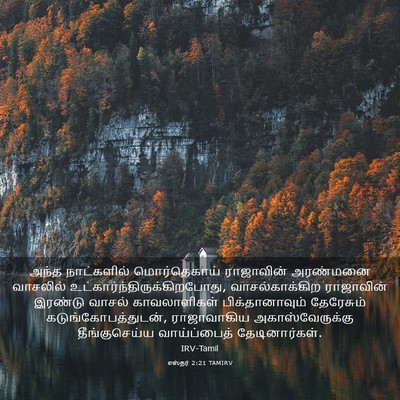 Picture 03 - எஸ்தர் 2:21 TAMIRV - அந்த நாட்களில் - Bible Verse Picture