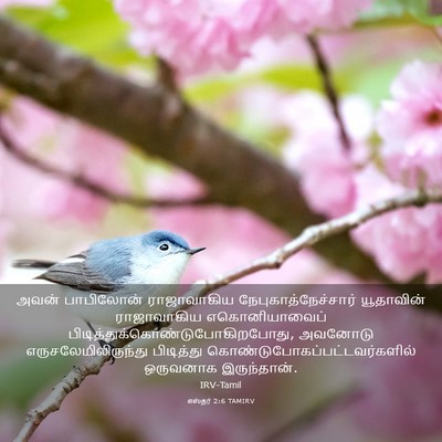 Picture 03 - எஸ்தர் 2:6 TAMIRV - அவன் பாபிலோன் - Bible Verse Picture