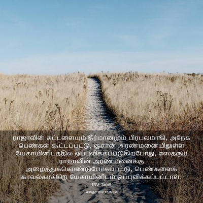 Picture 03 - எஸ்தர் 2:8 TAMIRV - ராஜாவின் - Bible Verse Picture