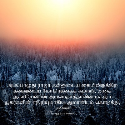 Picture 03 - எஸ்தர் 3:10 TAMIRV - அப்பொழுது ராஜா - Bible Verse Picture