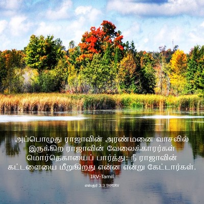 Picture 03 - எஸ்தர் 3:3 TAMIRV - அப்பொழுது - Bible Verse Picture
