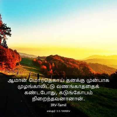 Picture 03 - எஸ்தர் 3:5 TAMIRV - ஆமான் மொர்தெகாய் - Bible Verse Picture