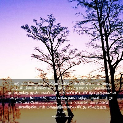 Picture 03 - எஸ்தர் 3:7 TAMIRV - ராஜாவாகிய - Bible Verse Picture