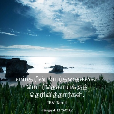 Picture 03 - எஸ்தர் 4:12 TAMIRV - எஸ்தரின் - Bible Verse Picture