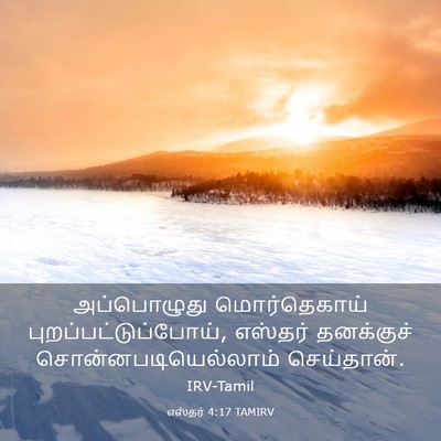 Picture 03 - எஸ்தர் 4:17 TAMIRV - அப்பொழுது - Bible Verse Picture