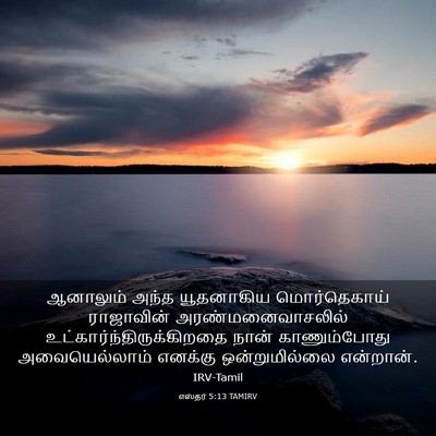 Picture 03 - எஸ்தர் 5:13 TAMIRV - ஆனாலும் அந்த - Bible Verse Picture