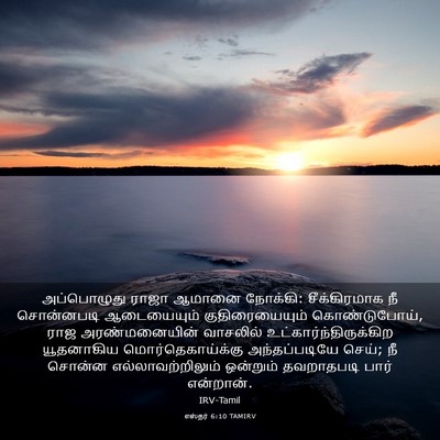 Picture 03 - எஸ்தர் 6:10 TAMIRV - அப்பொழுது ராஜா - Bible Verse Picture